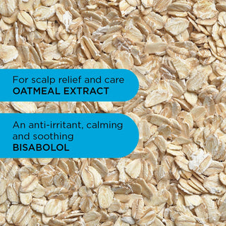 Care Taker Shampoo ohne Duft - 250ml